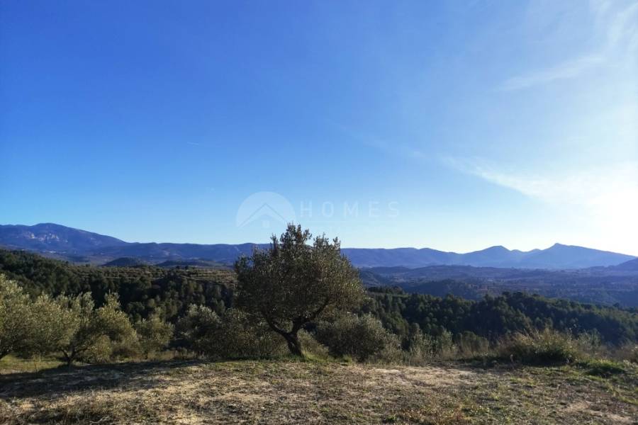 Venta - Casa de Campo - Millena