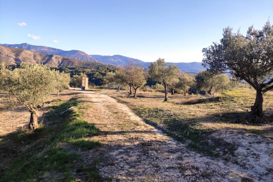 Venta - Casa de Campo - Millena