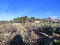 Venta - Casa de Campo - Millena