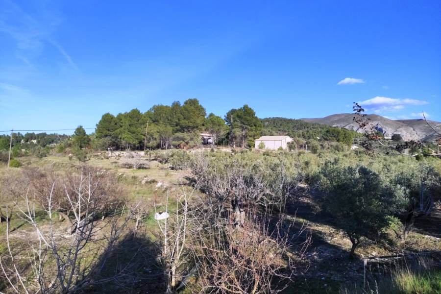 Venta - Casa de Campo - Millena