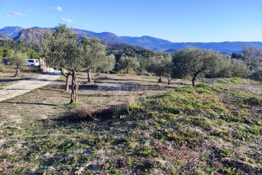 Venta - Casa de Campo - Millena