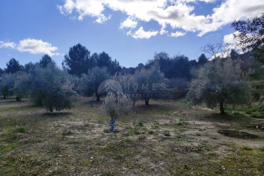 Te koop - Landhuis - Benilloba