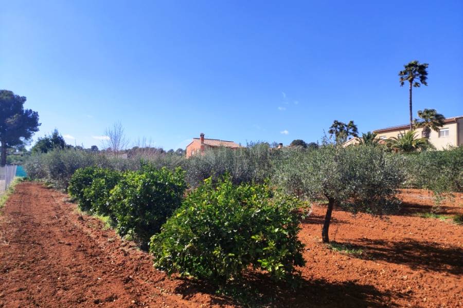 For sale - Country House - Ontinyent