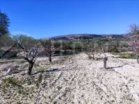 Te koop - Landhuis - Gorga