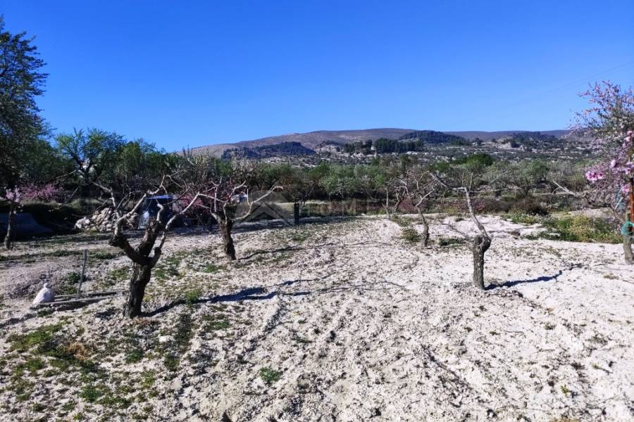 Te koop - Landhuis - Gorga