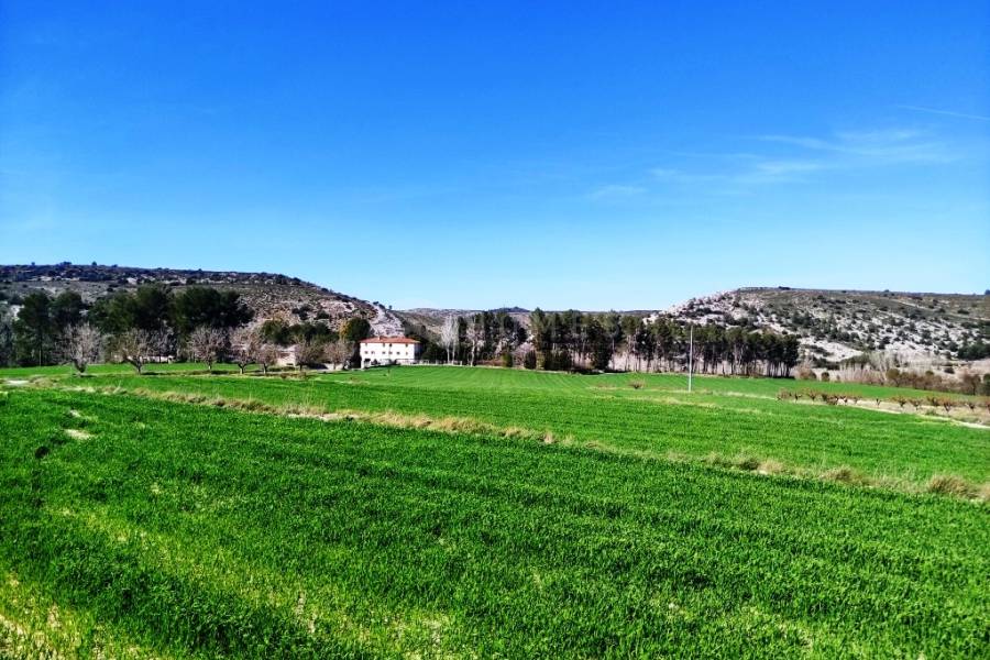 Venta - Finca - Alfafara