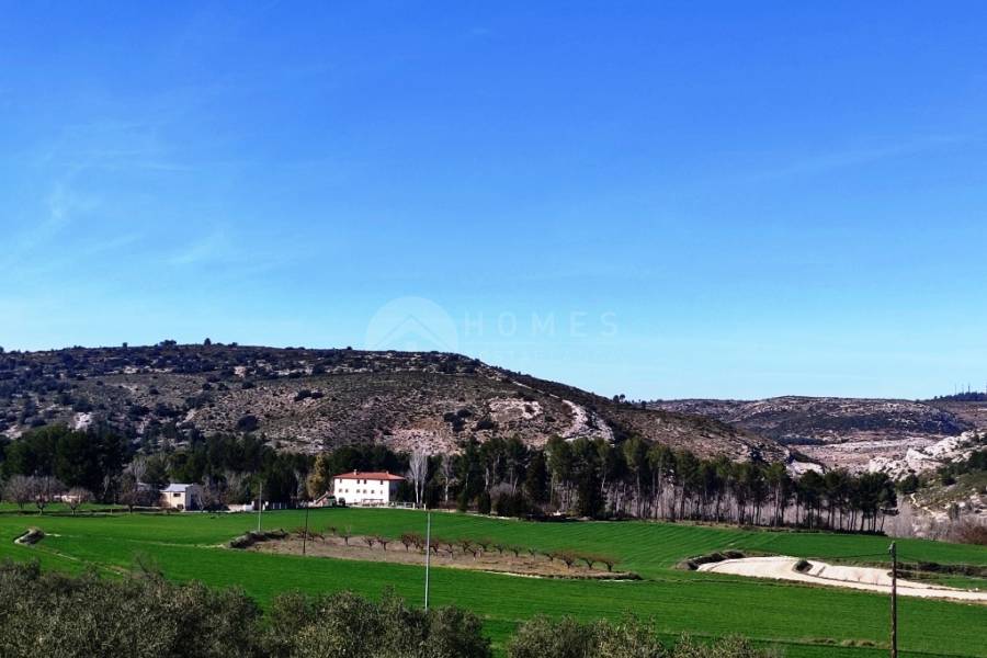 Venta - Finca - Alfafara