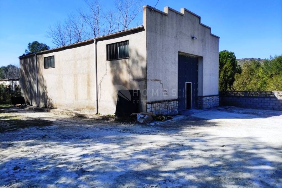 Venta - Finca - Alfafara