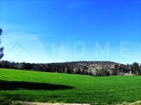 Venta - Finca - Alfafara