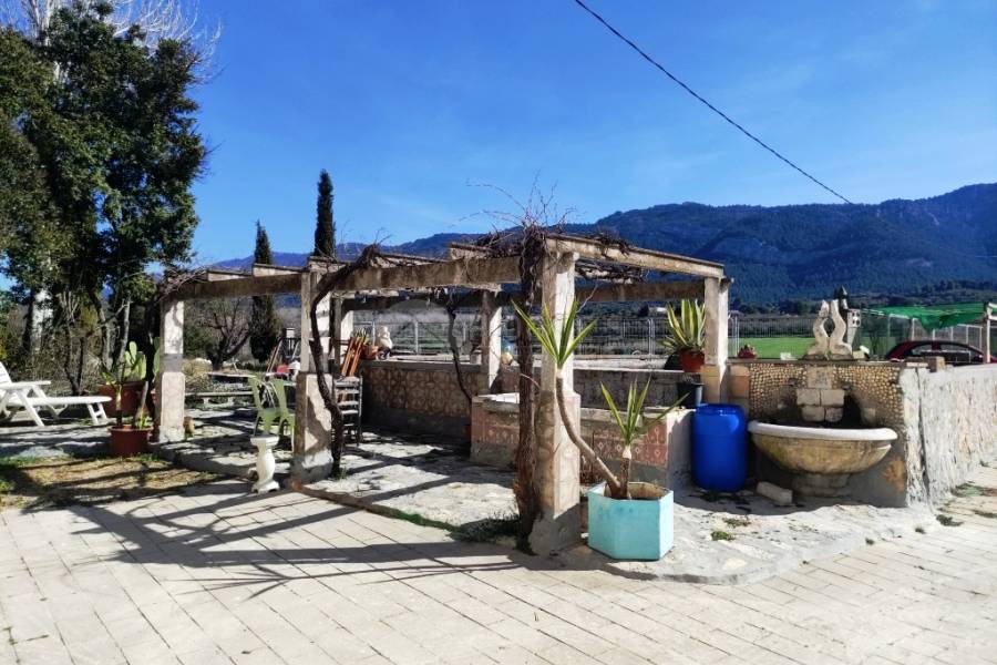 Venta - Finca - Alfafara