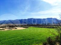 Venta - Finca - Alfafara