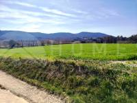 Venta - Finca - Alfafara