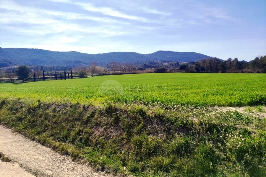 Venta - Finca - Alfafara