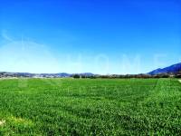 Venta - Finca - Alfafara