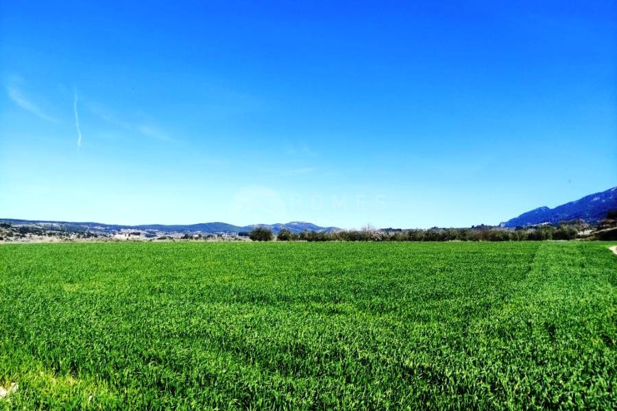 Venta - Finca - Alfafara