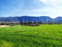 Venta - Finca - Alfafara