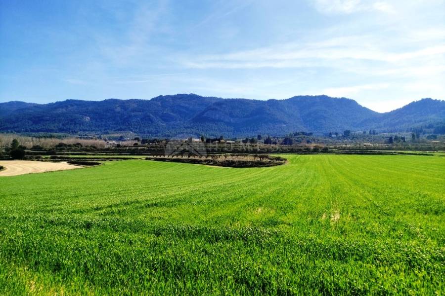 Venta - Finca - Alfafara