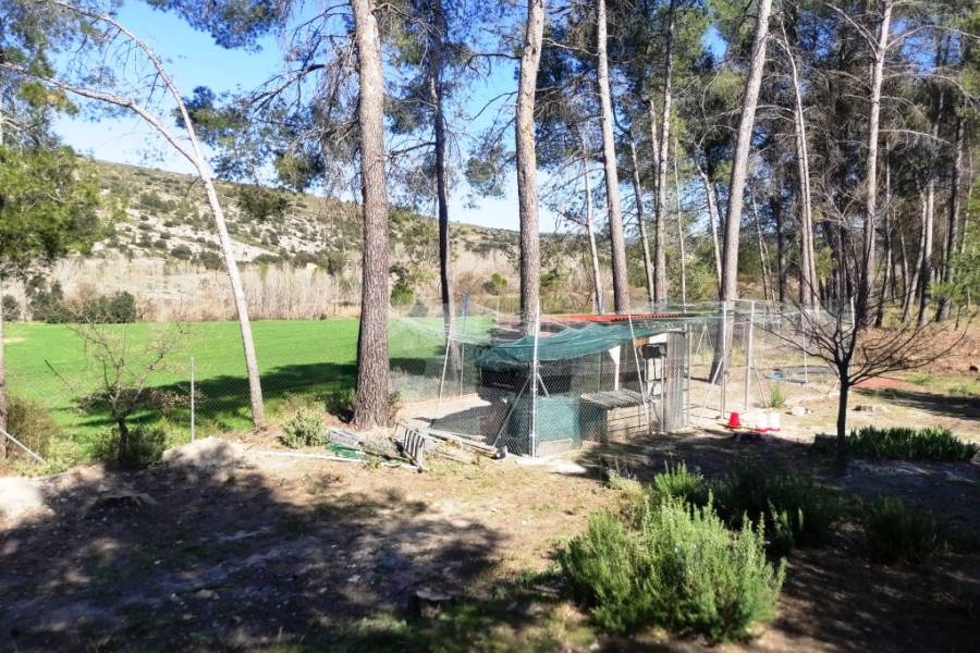 Venta - Finca - Alfafara