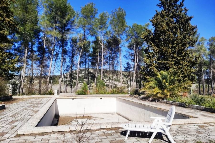 Venta - Finca - Alfafara