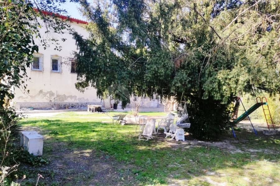 Venta - Finca - Alfafara