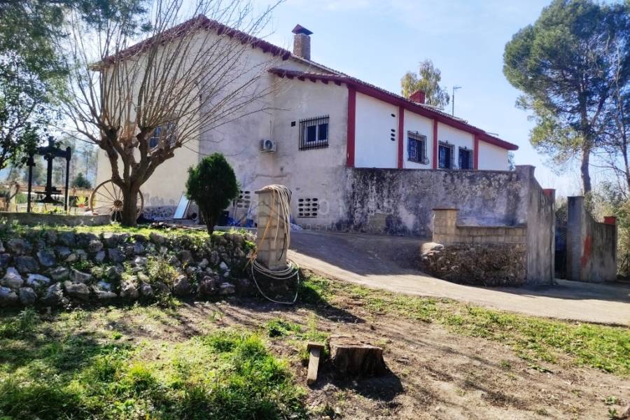 Venta - Finca - Alfafara