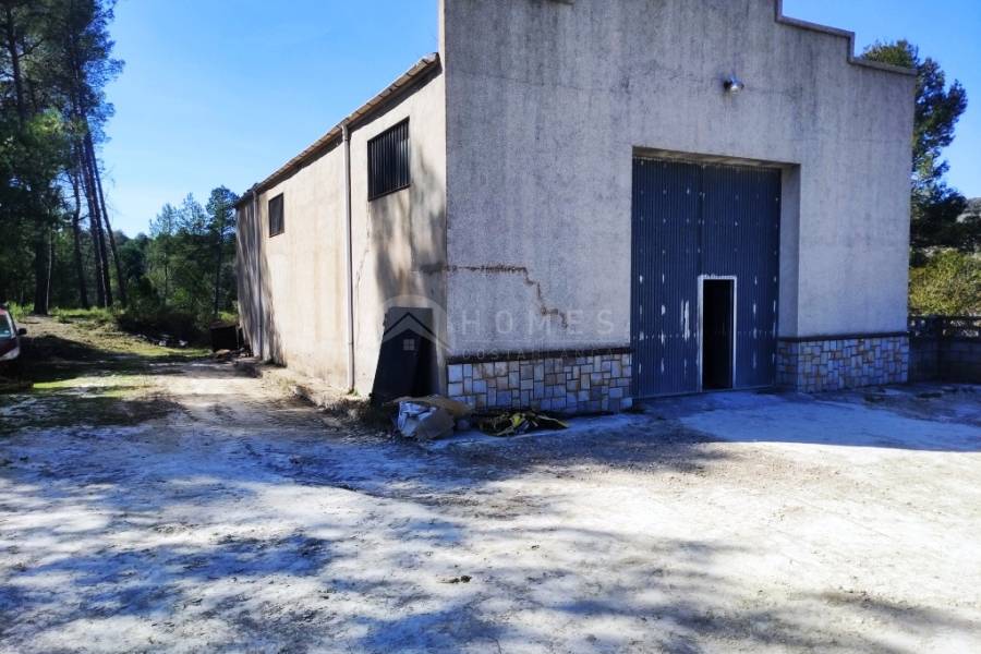 Venta - Finca - Alfafara