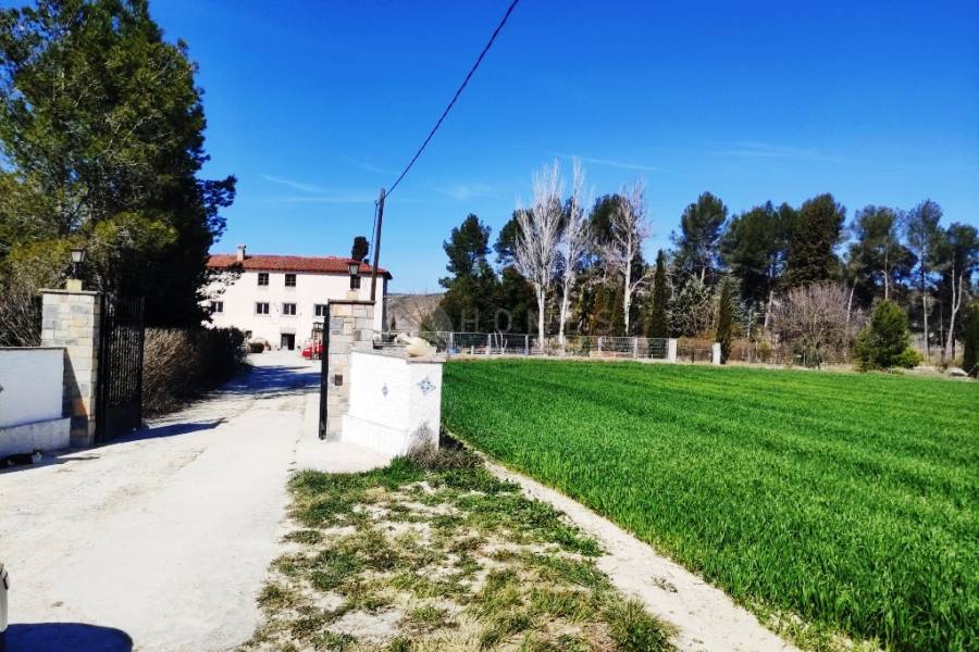 Venta - Finca - Alfafara
