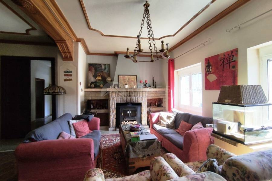 Venta - Finca - Alfafara