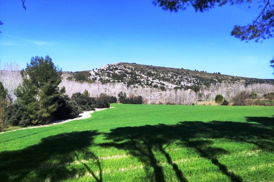 Venta - Finca - Alfafara