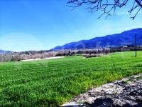 Venta - Finca - Alfafara