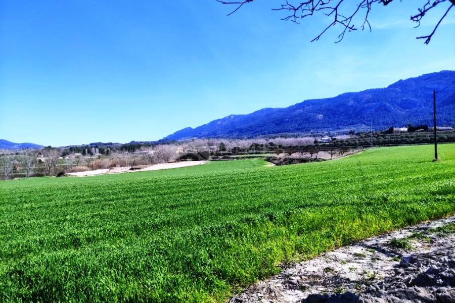 Venta - Finca - Alfafara