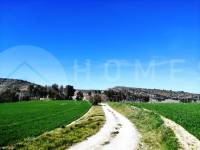 Venta - Finca - Alfafara