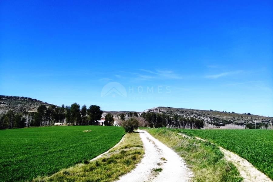 Venta - Finca - Alfafara