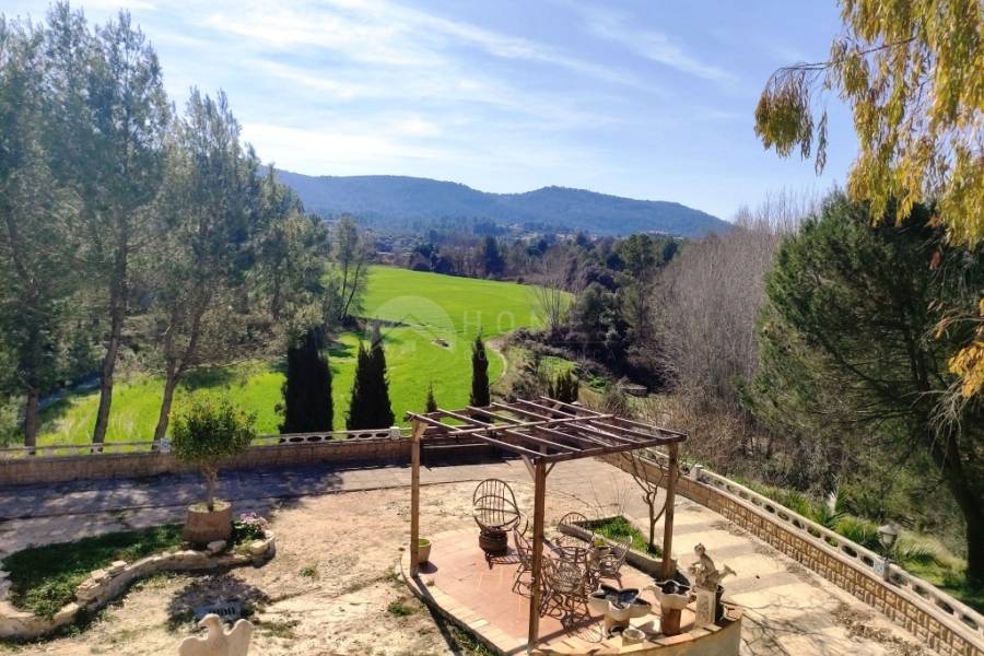 Venta - Finca - Alfafara