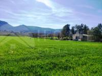 Venta - Finca - Alfafara