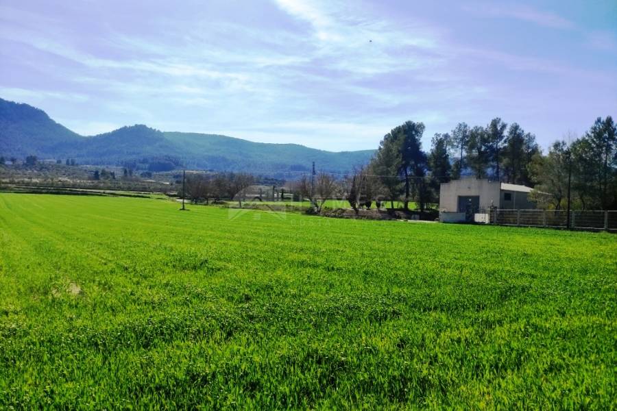 Venta - Finca - Alfafara