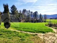 Venta - Finca - Alfafara