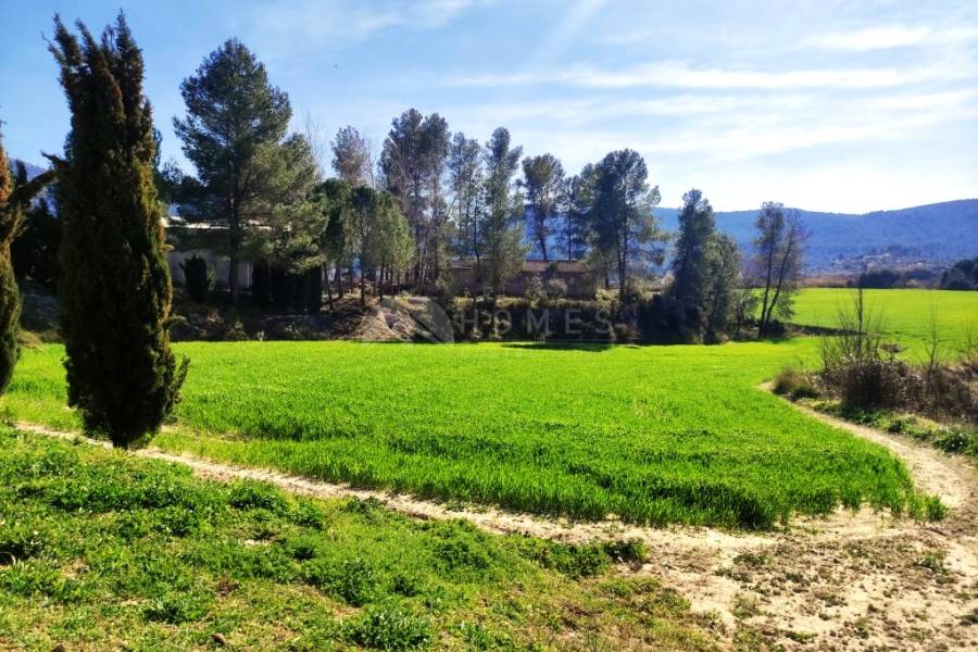 Venta - Finca - Alfafara