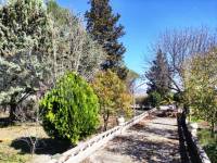 Venta - Finca - Alfafara