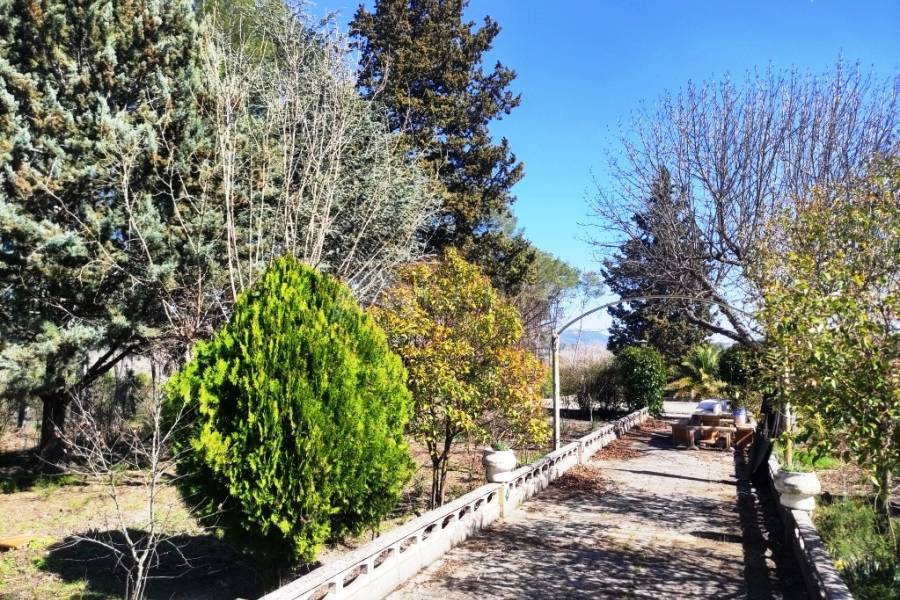 Venta - Finca - Alfafara