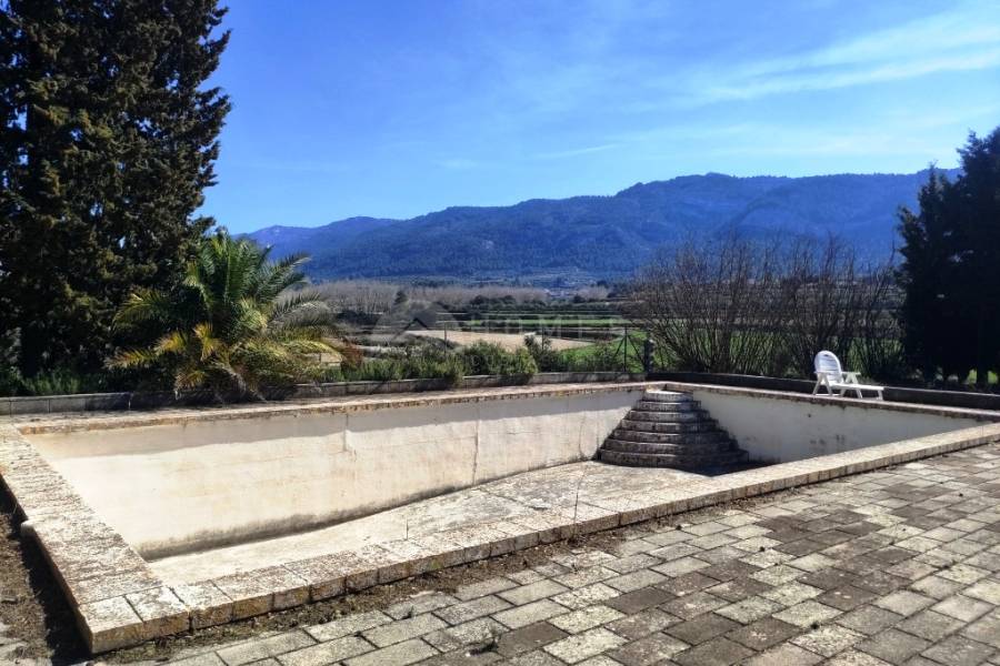 Venta - Finca - Alfafara