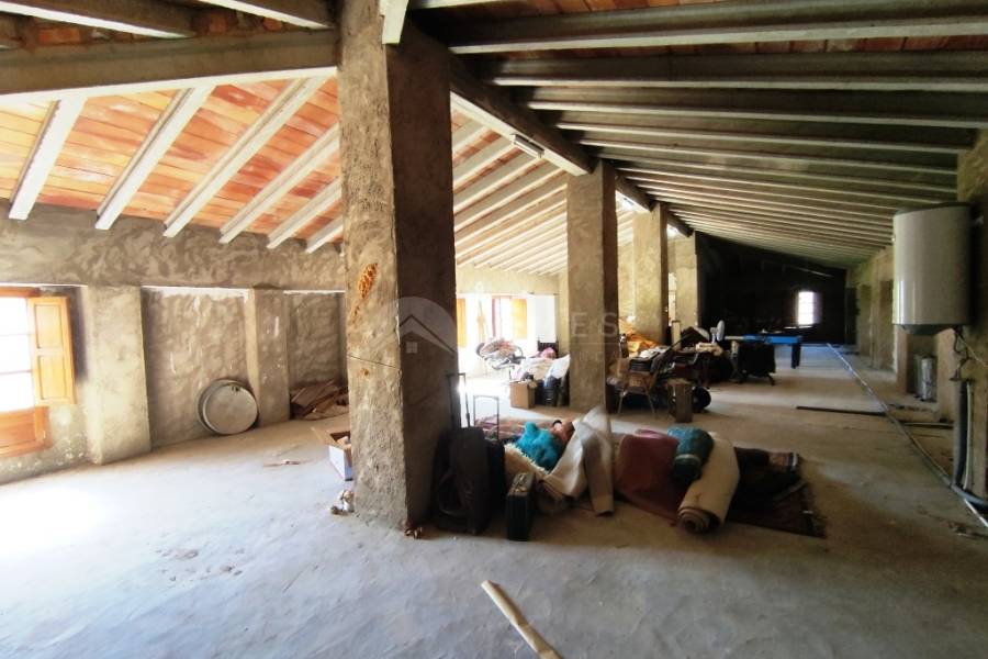 Venta - Finca - Alfafara