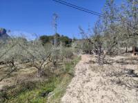 Venta - Casa de Campo - Muro de Alcoy