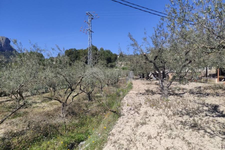 Venta - Casa de Campo - Muro de Alcoy
