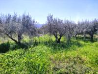 For sale - Country House - Agullent