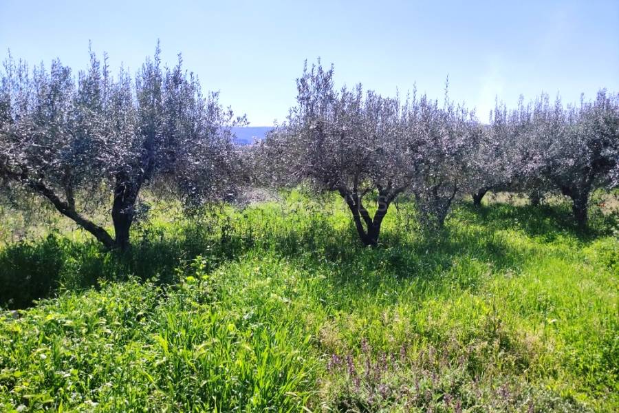 For sale - Country House - Agullent