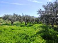 For sale - Country House - Agullent