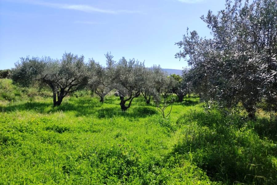 For sale - Country House - Agullent