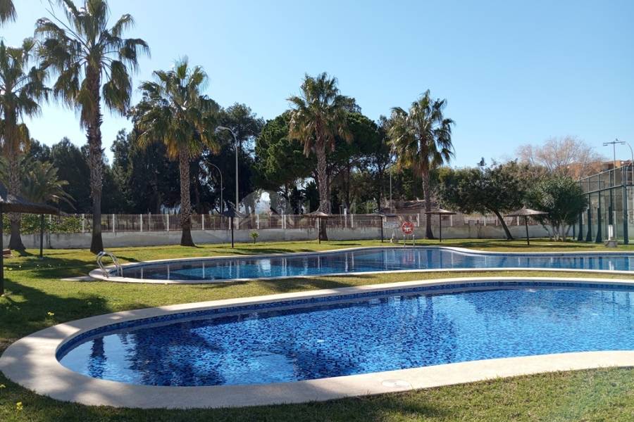 For rent - Apartment - El Verger