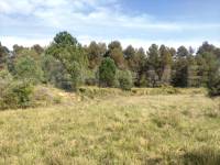 Te koop - Landhuis - Bocairent